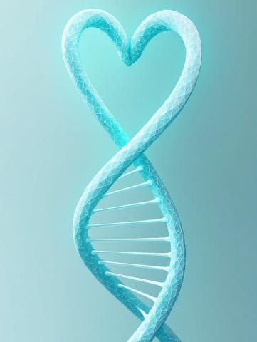 DNA heart