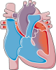 Congenital Heart Disease