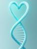 DNA heart